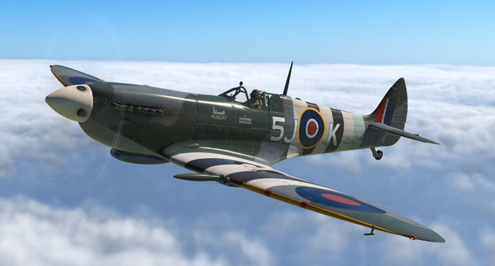 RealAir Spitfire Mk IX & Mk XIV – Extension Pour Flight Simulator X (PC, NTSC)